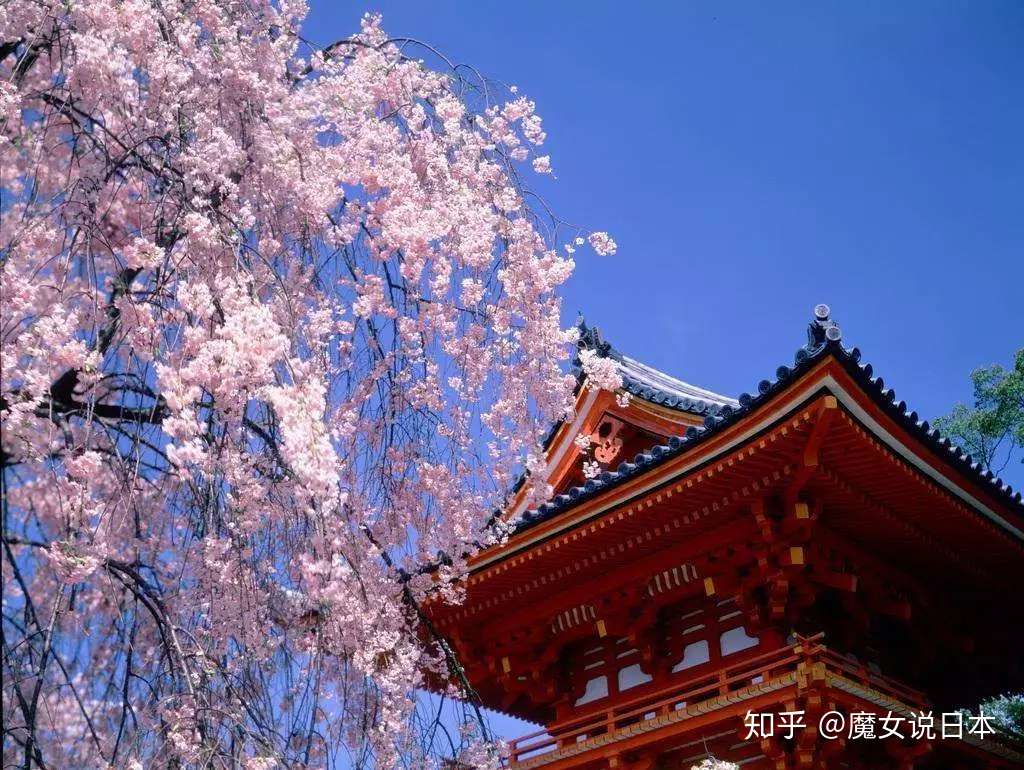 6万块钱睡一晚 日本寺庙贵过五星级酒店 知乎