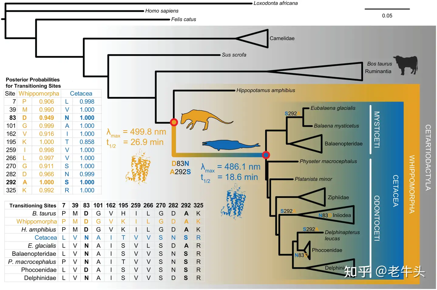 Bold Theory” That T. rex Was 3 Species Rebutted – “Tyrannosaurus rex  Remains the One True King of the Dinosaurs”