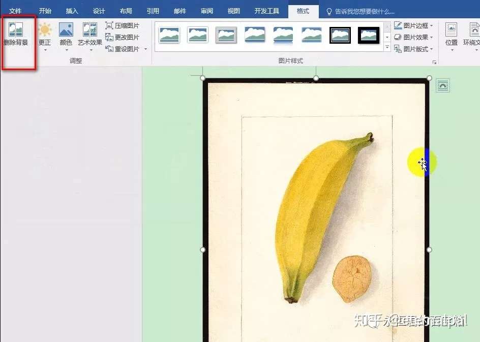 教你用word一键自动去除图片背景- 知乎
