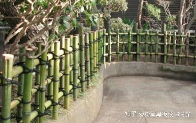 小学三年级一道数学面积题 大一生都不会 你会解吗 知乎