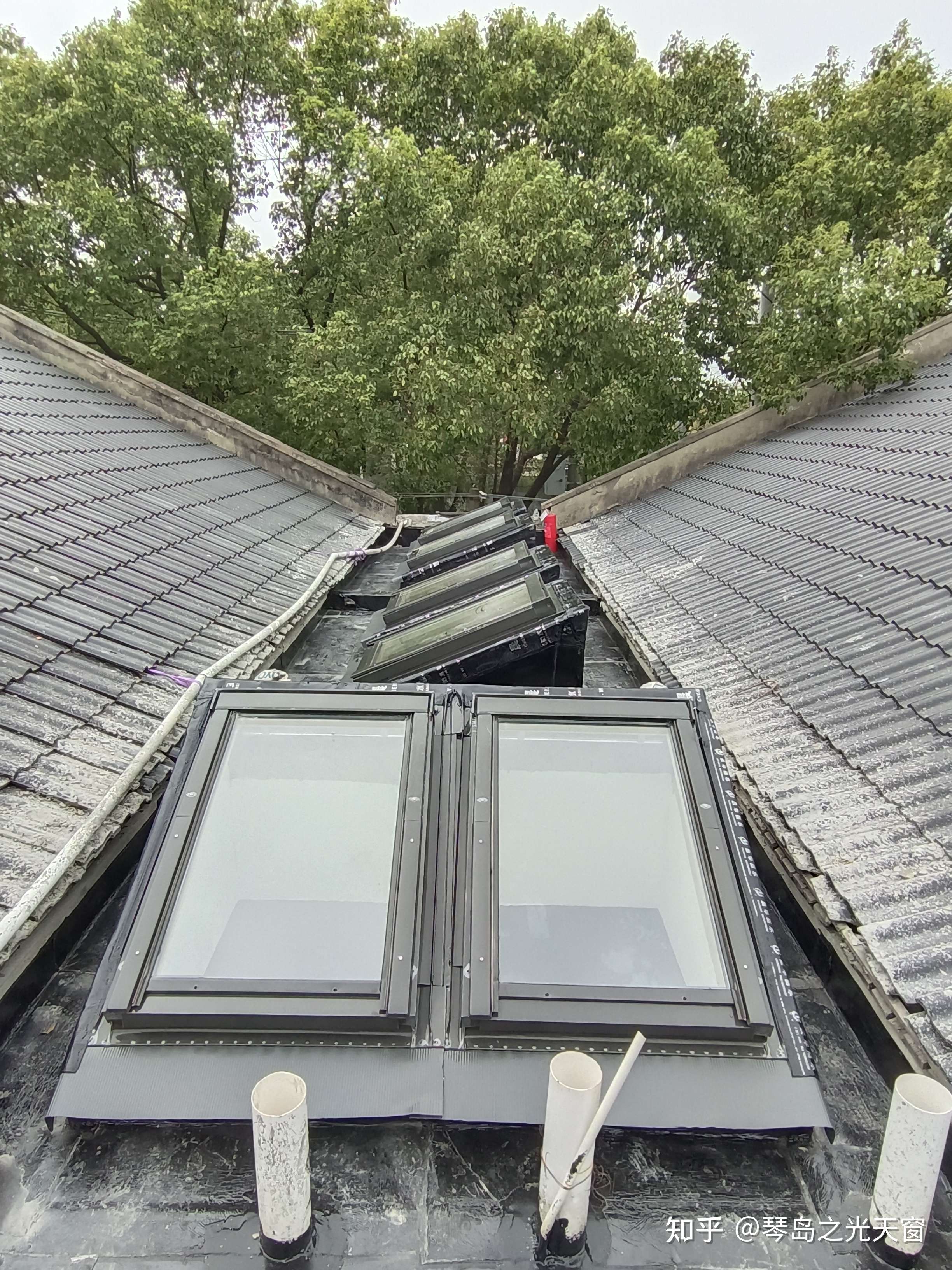 琴岛之光天窗 的想法: 你想要什么样的,我们都有, 这是——琴