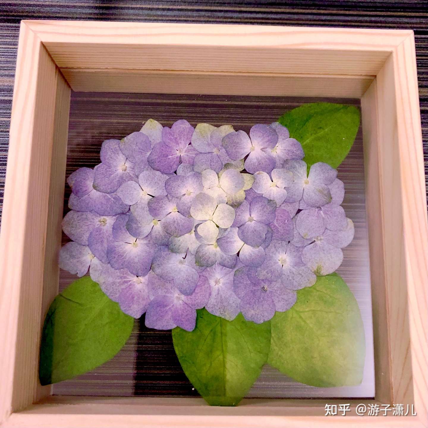 超详细的押花记录 知乎