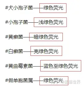 可查猫藓可验钞的"神灯"——"伍德氏灯"到底是个什么灯? - 知乎