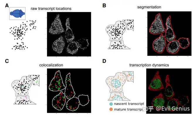 10x空间转录组重点分析合集3 知乎