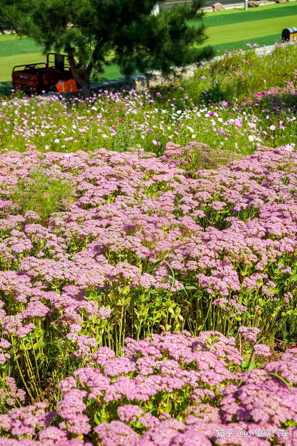 谁说美景一定要花钱 百里山水画廊 四季花海游记 知乎