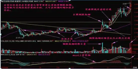 中国股坛第一人长阳反弹就逃命长阴倒拔杨柳买被誉不败铁则
