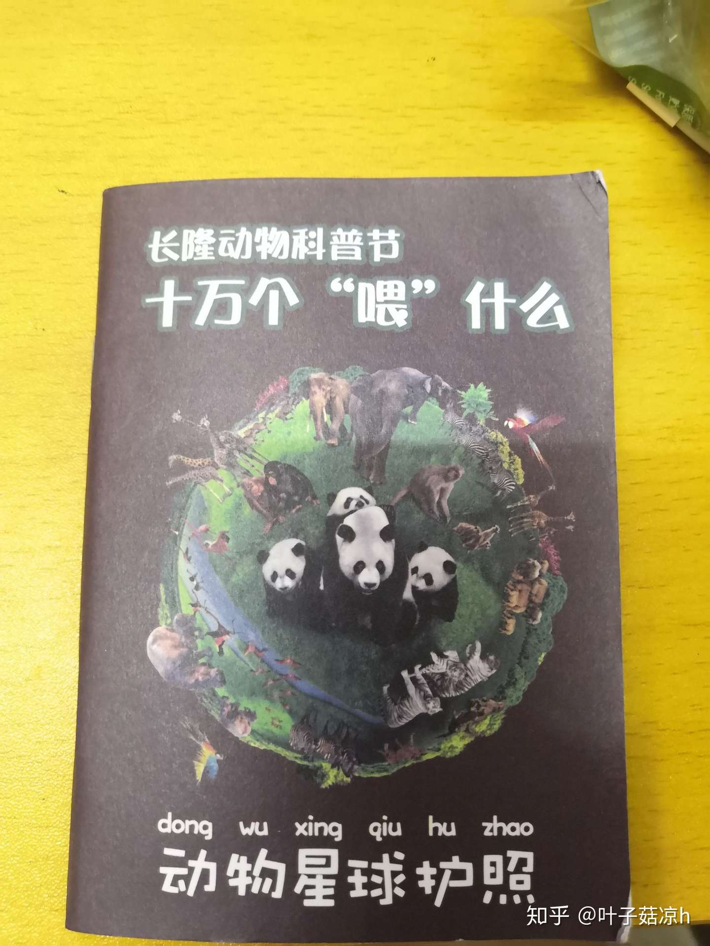 广州长隆野生动物世界一日游攻略 知乎