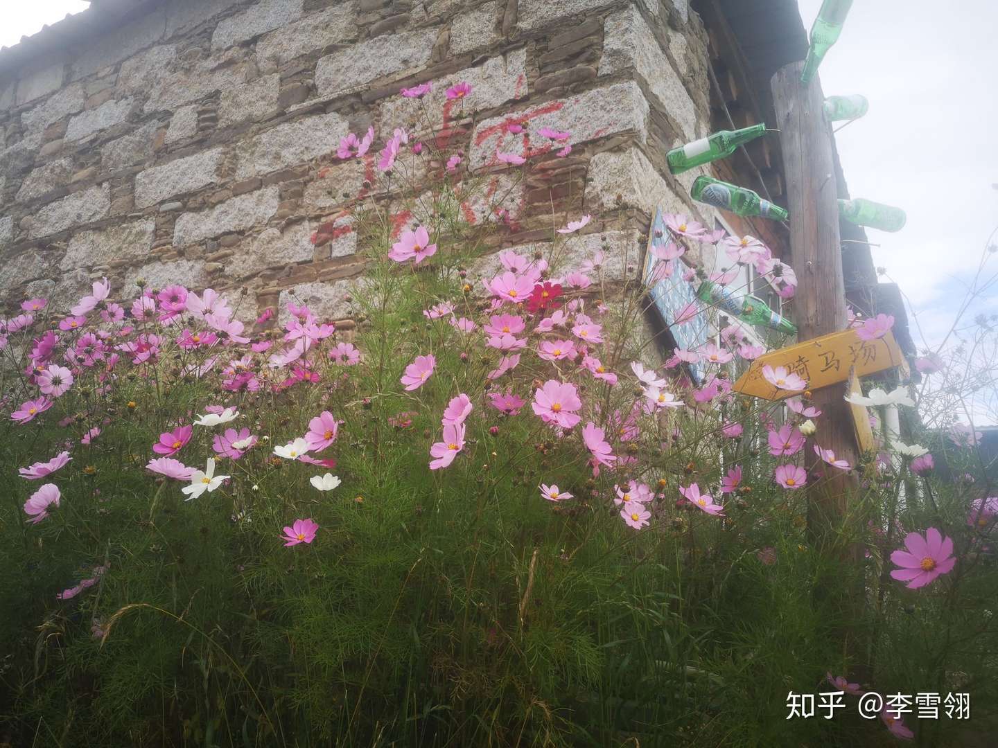 失恋逆行记 知乎