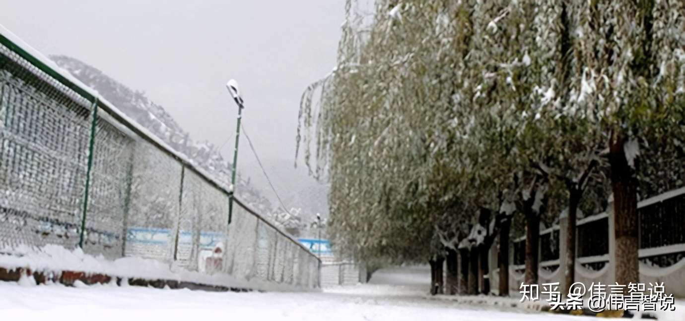 那一年 在西安经历的那一场雪 知乎