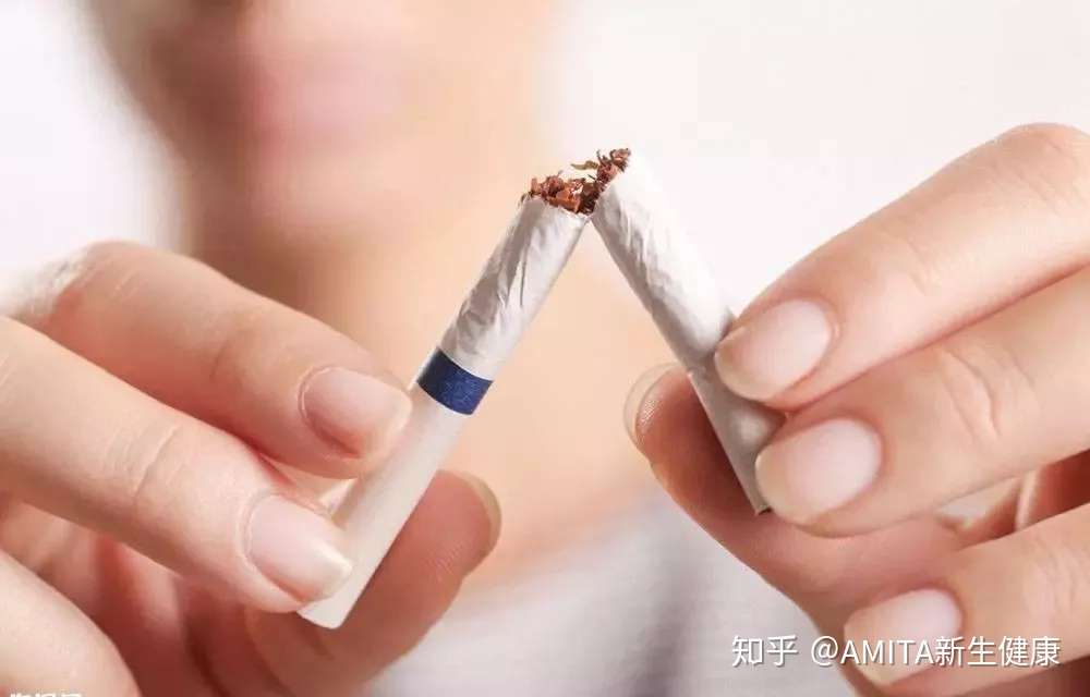 知乎专栏