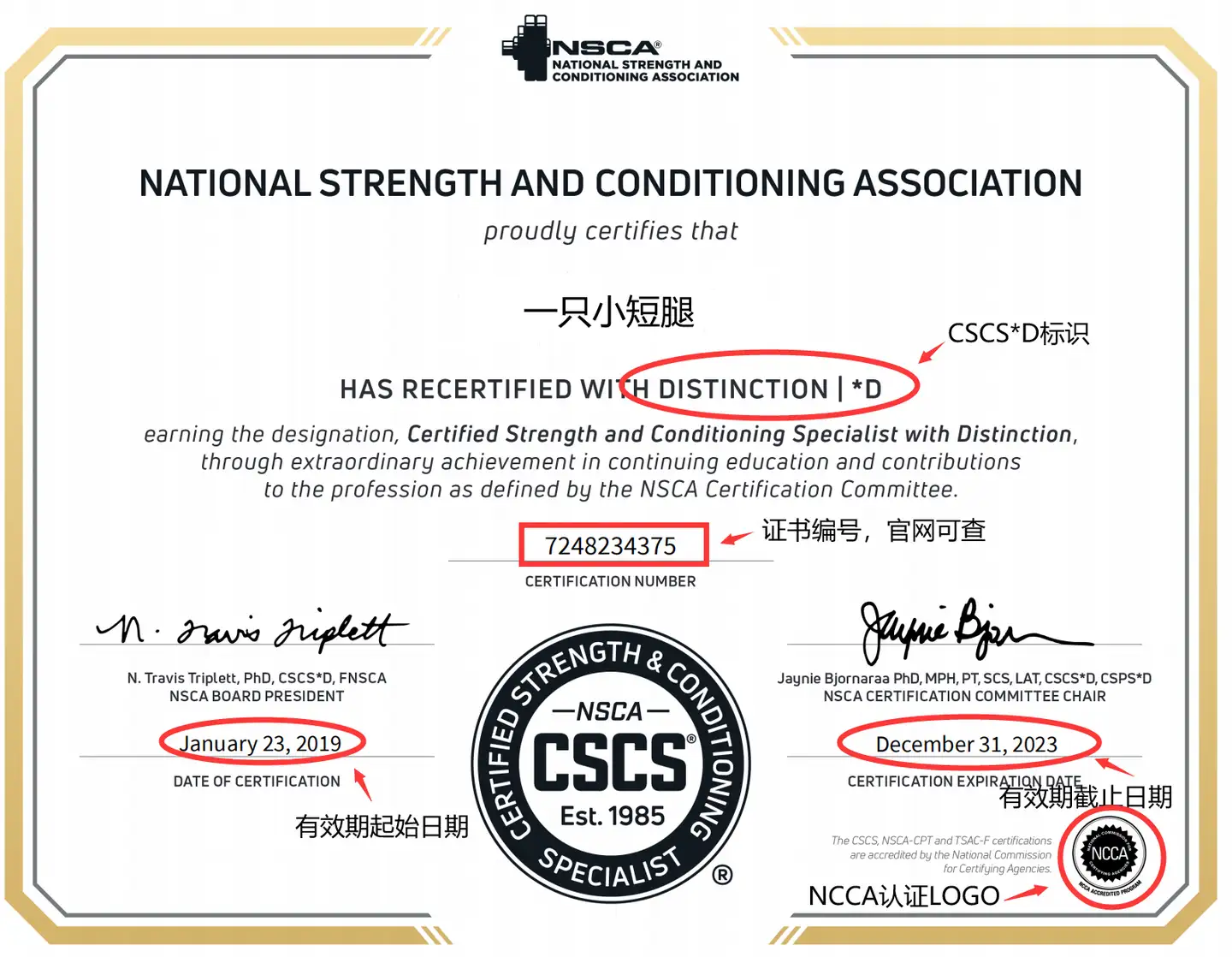 最全面的NSCA-CSCS美国体能协会私人教练认证备考攻略！ - 知乎