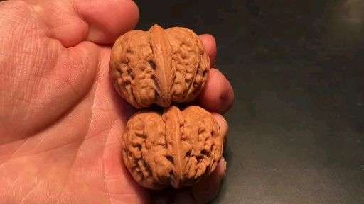 文玩核桃40的平谷元宝值多少钱