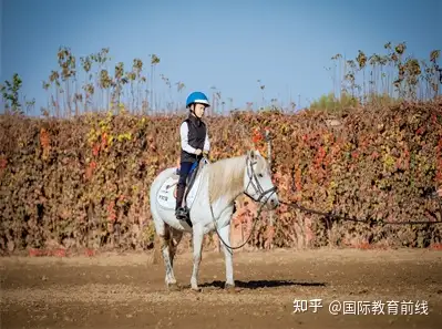 北京中加国际学校收费_北京中加国际学校_北京中加国际高中