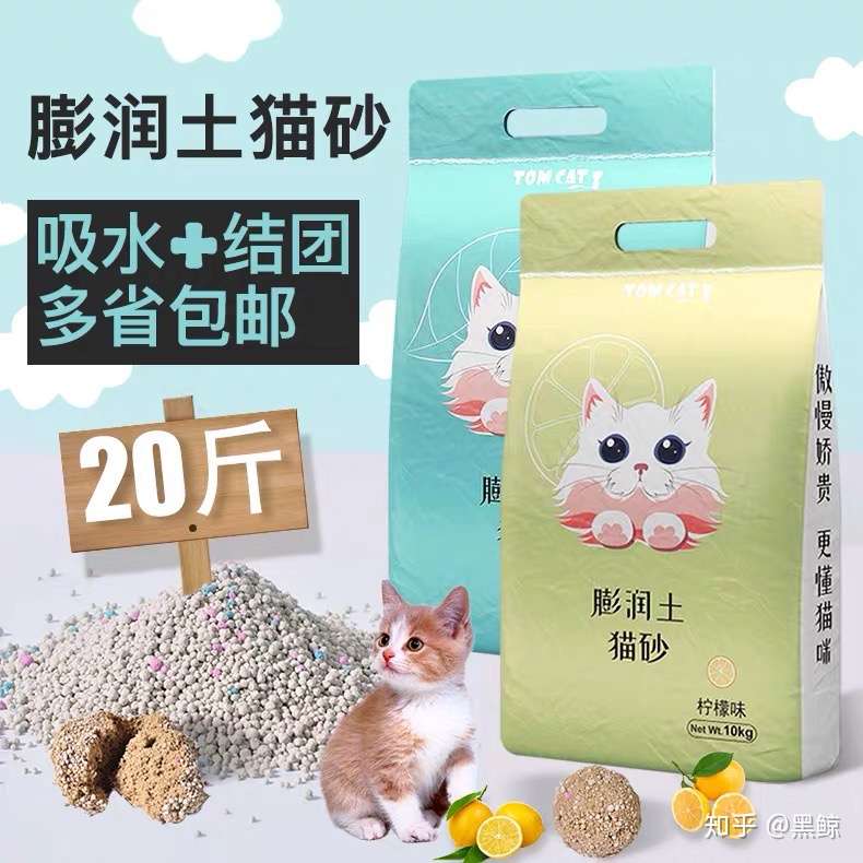 养猫一个月需要花费多少钱 知乎