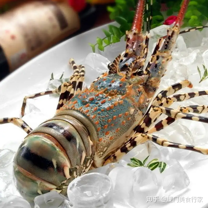 厦门最多人吃的海鲜美食青龙虾 究竟它的价值体现在哪里 知乎