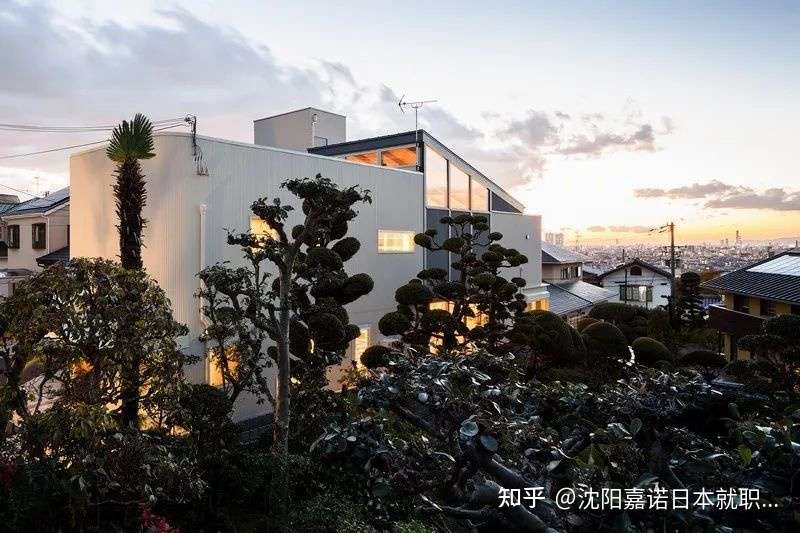 这个设计太棒了 大阪有一座与自然 互动 的房子 知乎