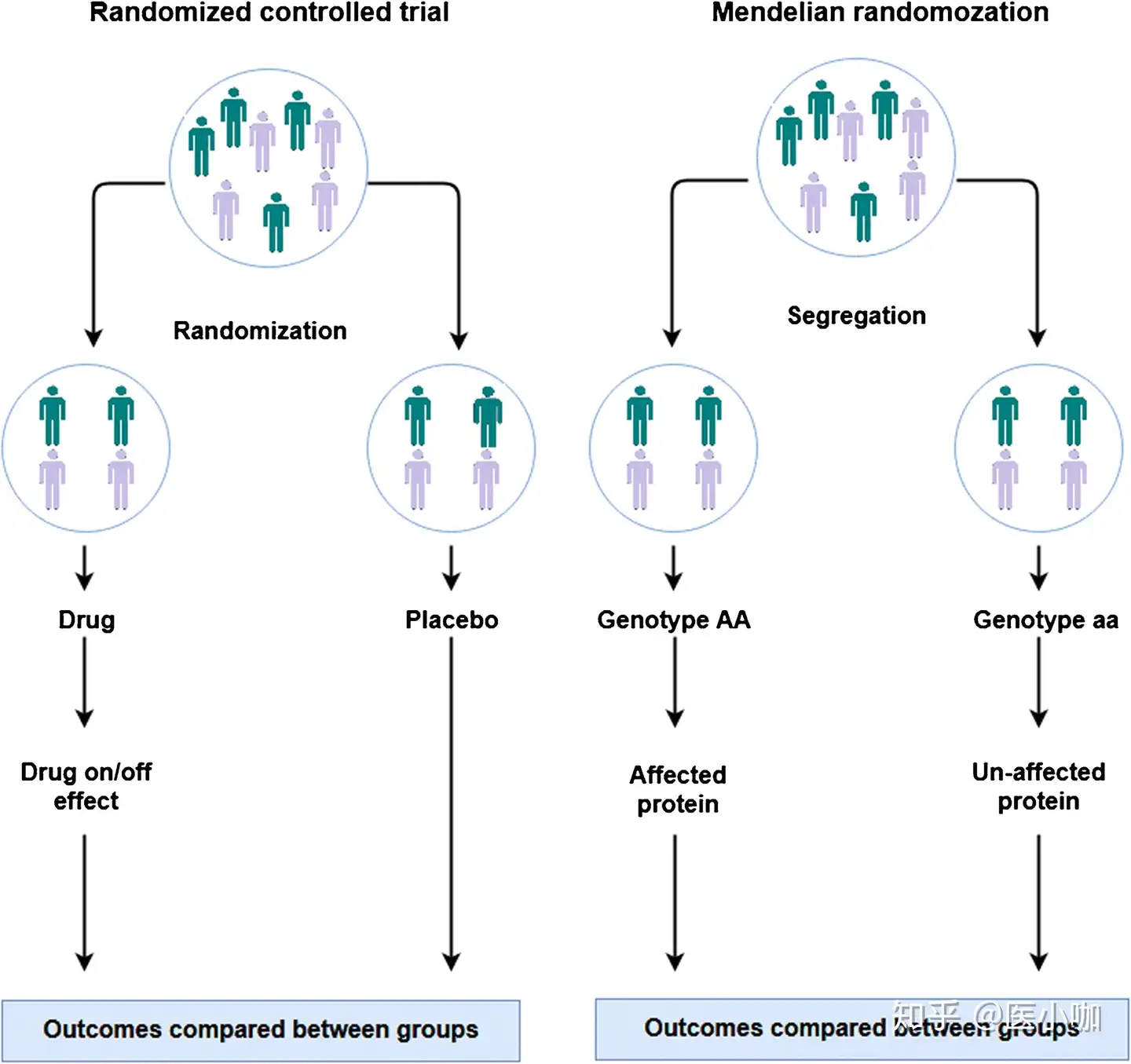 以Nature Genetics一篇新文为例，探讨孟德尔随机化方法学的应用- 知乎
