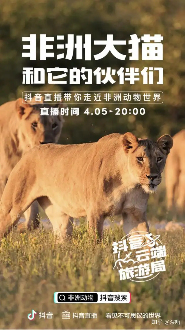 快来看(抖音上云南旅游只要2000元是真是假?)抖音的云南旅行1680元2个人2023已更新 第6张 快来看(抖音上云南旅游只要2000元是真是假?)抖音的云南旅行1680元2个人2023已更新 第6张