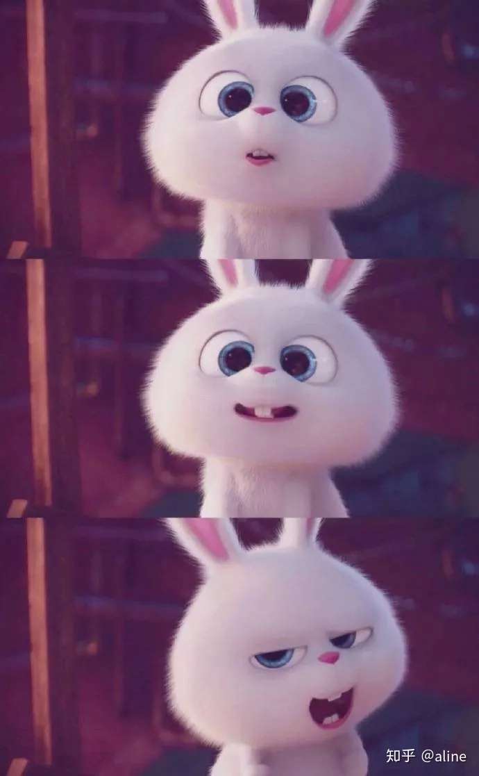 动物的名字也疯狂 看看这些动物的英文名都代表着什么 知乎