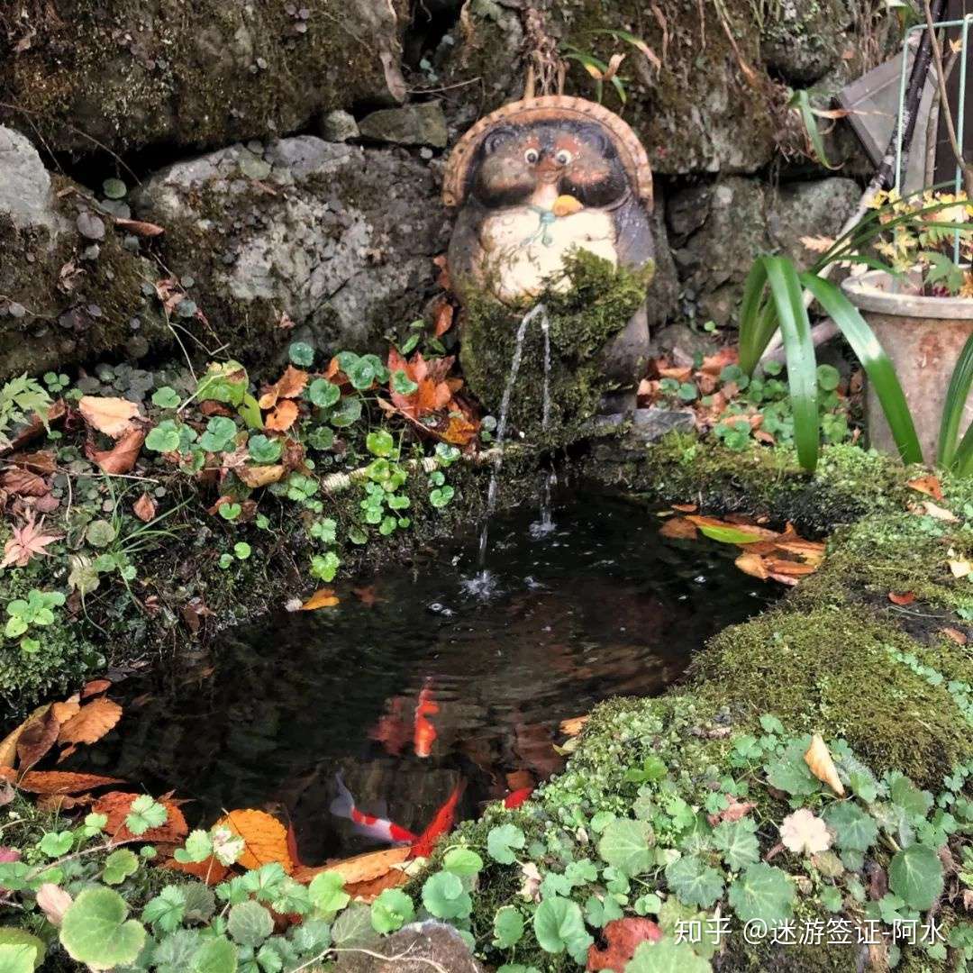 春樱夏树 秋枫冬雪 四季皆景的秘境进来了解一下 知乎