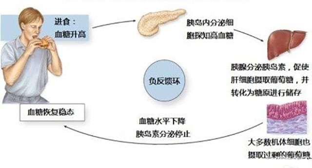 甲醛對人體的七大影響