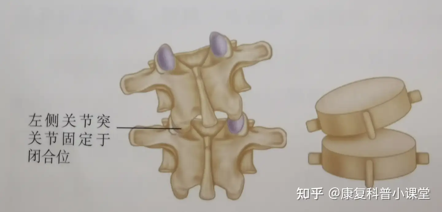 有名なブランド 頭蓋仙骨治療 健康/医学 - cirugiaplasticacbba.com