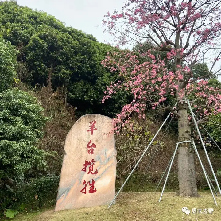 贊同了該文章 羊台山森林公園橫跨深圳市三個區域,處於寶安區,龍華區