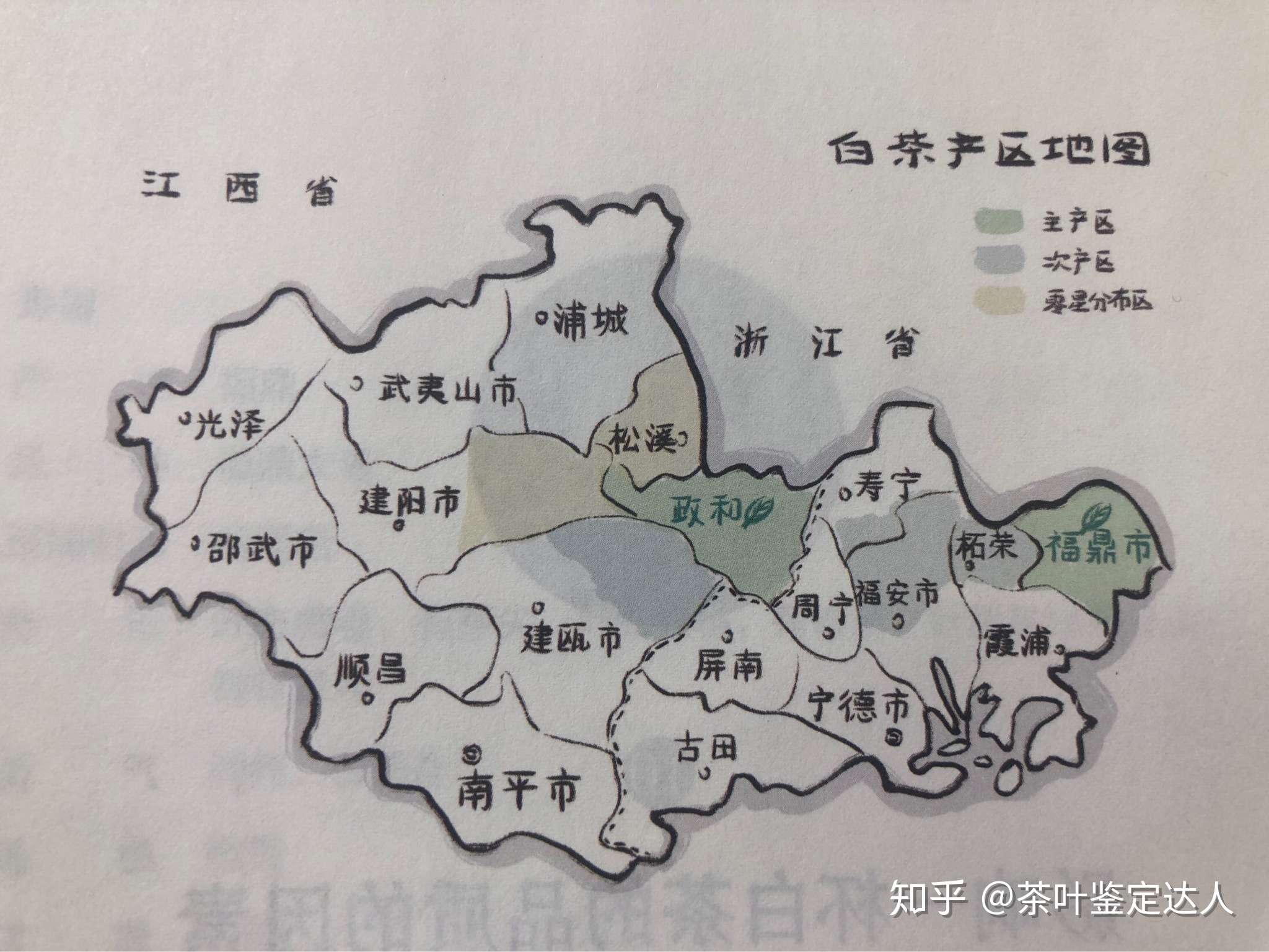 茶叶鉴定狮 的想法: 白茶按产区分两类:福鼎白茶和政和白茶,… - 知乎