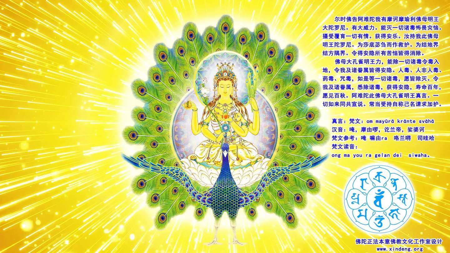 不可思议的孔雀明王心咒及修持感应 知乎 不可思议的孔雀明王心咒及修持感应 知乎