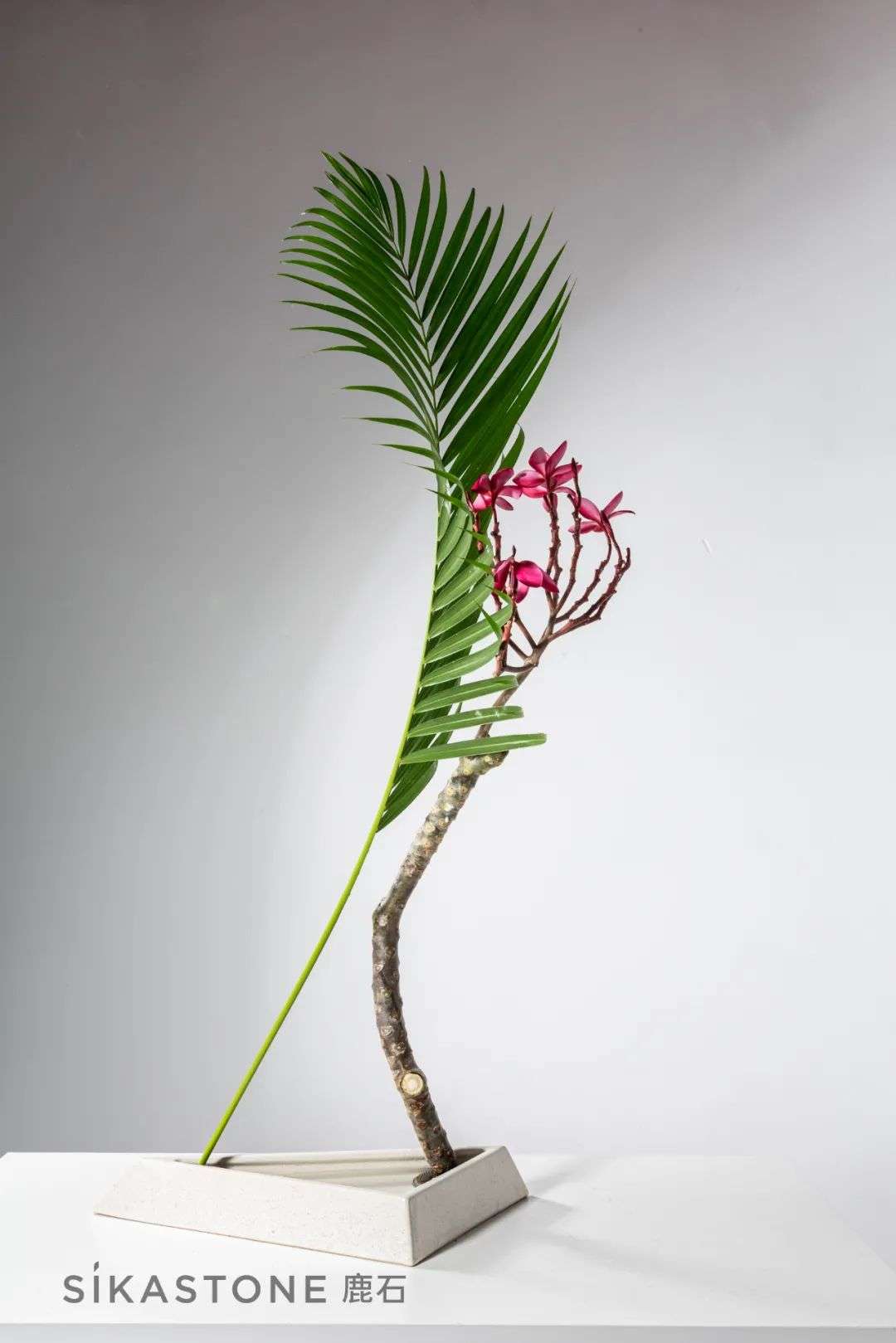 小原流教授证书到底值多少钱 知乎