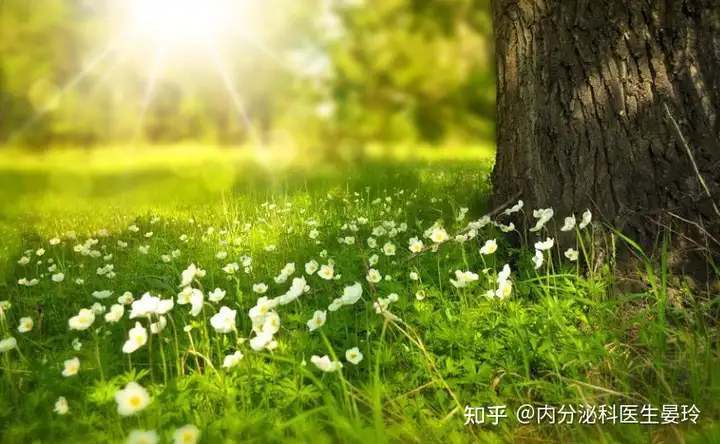 夏至美食的正确打开方式