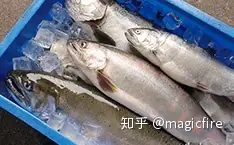 琵琶湖八珍介绍 知乎
