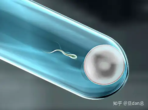 中国最好的试管婴儿（试管婴儿流程太复杂？5个步骤一眼看懂）
