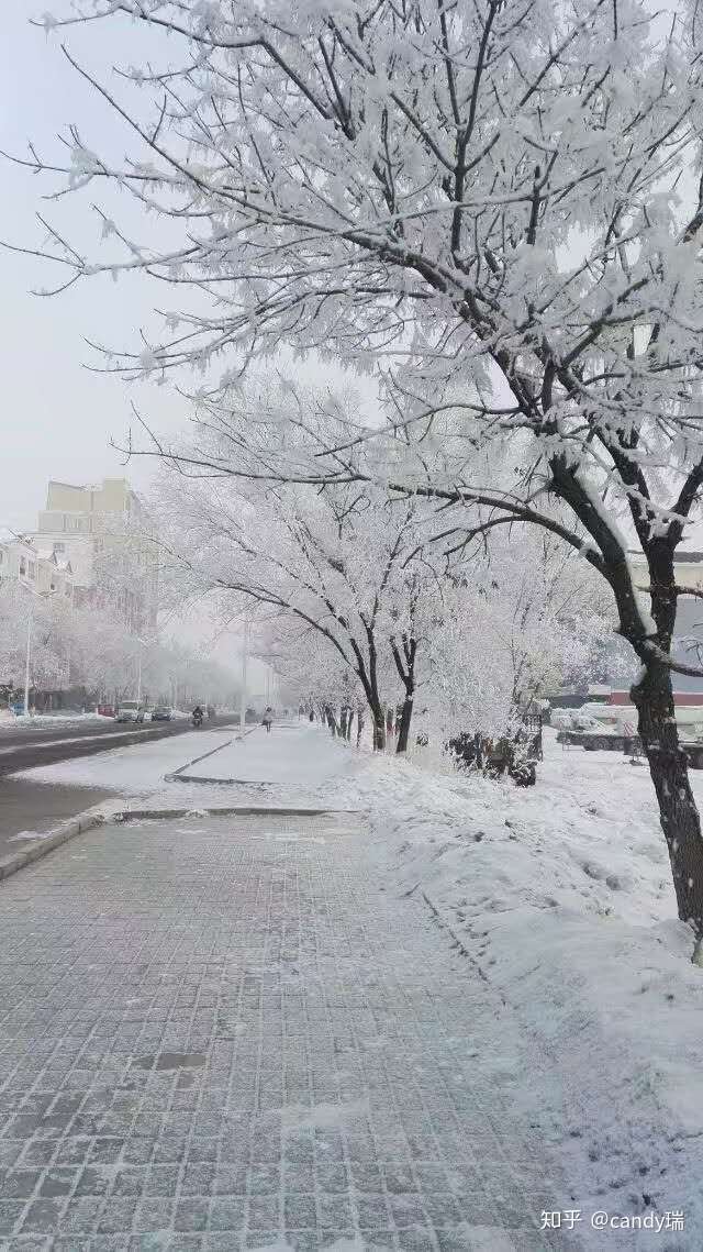 能看看你拍的下雪的照片吗?