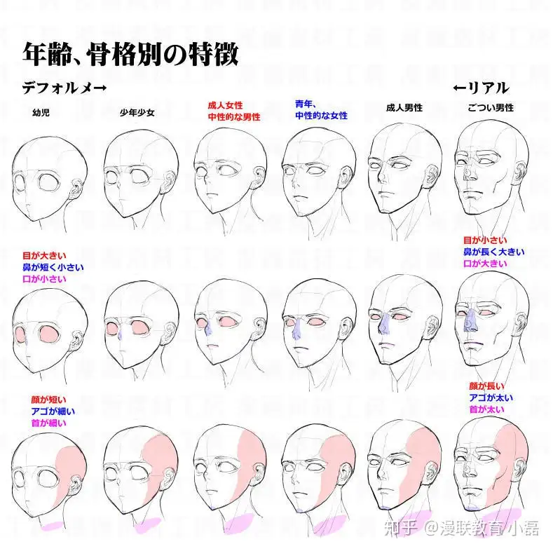 教程 多角度绘制不同年龄性别角度头部 专业绘画课程 知乎