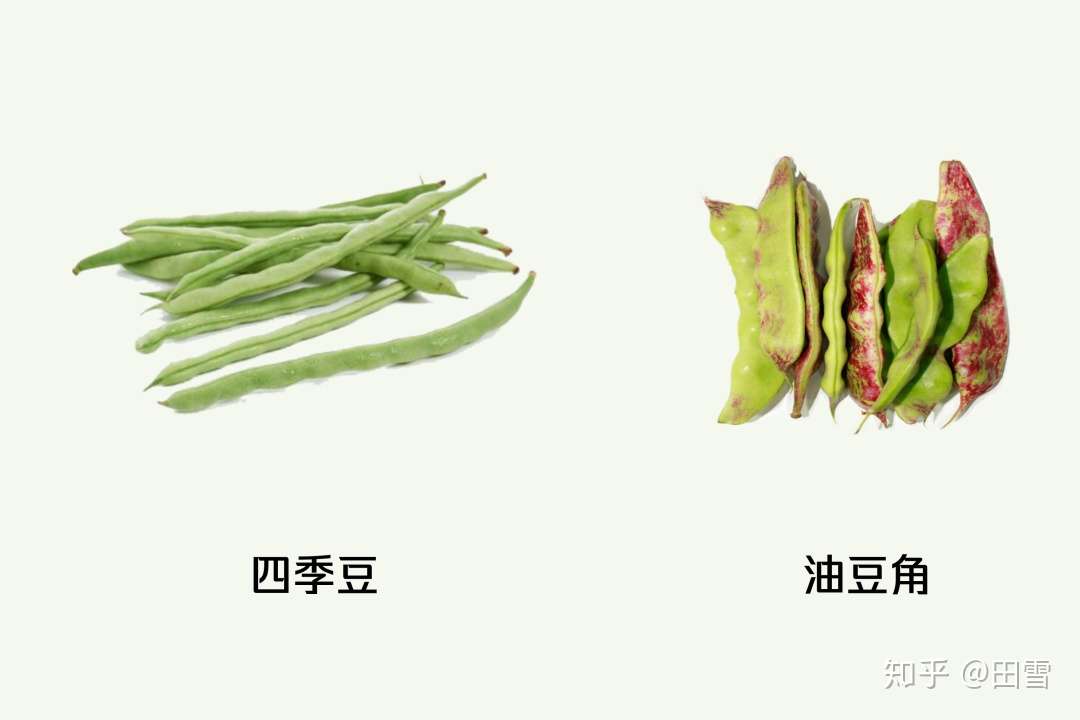 家中常见的 毒食物 除了豆角还有什么 知乎 家中常见的 毒食物 除了豆角还有什么 知乎