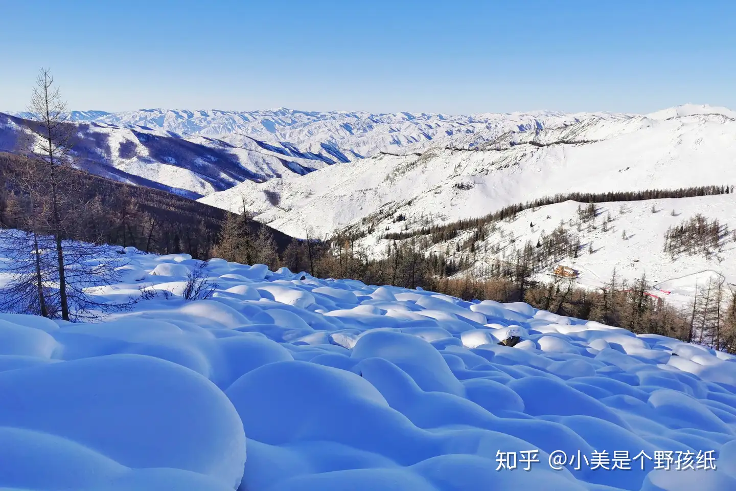 可可托海滑雪场测评 吃住行篇 你愿意接受它的不成熟来滑一场痛快的雪吗 知乎