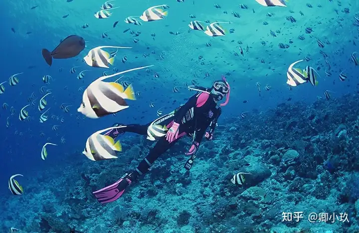 和男朋友去三亚旅游花掉了半年的存款，心痛并快乐这。。。五日游攻略（内含费用说明）