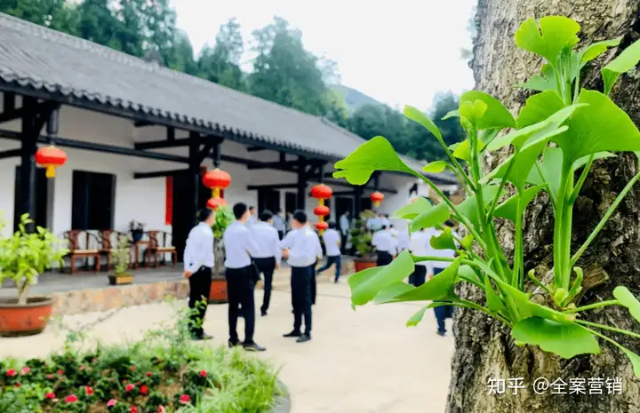 争创天府旅游名县｜2023开年旅行，来华蓥赴一场冬日风雅之约