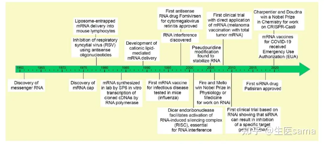RNA的种类和研究里程碑- 知乎