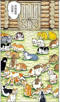 你去的到底是猫咖 还是动物园 知乎