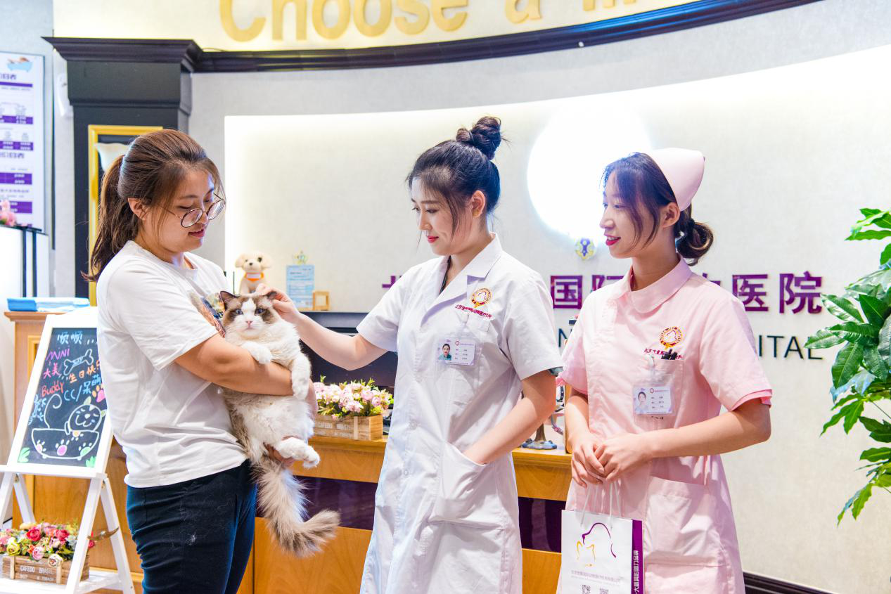 杭州这几家宠物医院24小时开诊 速收藏 知乎