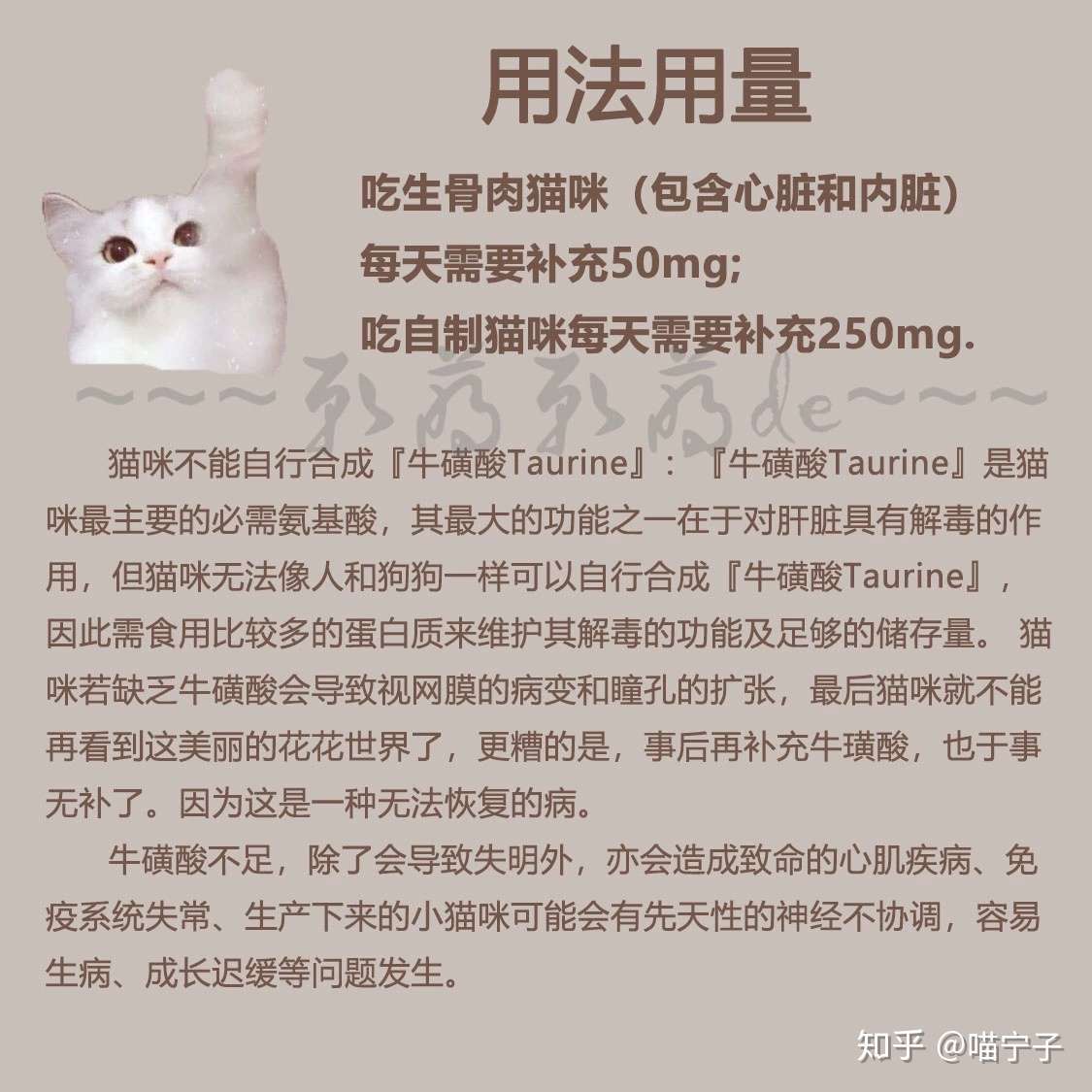 喵宁子·饮食篇】没有时间给猫咪喂肉？简单教你实现每天喂肉- 知乎