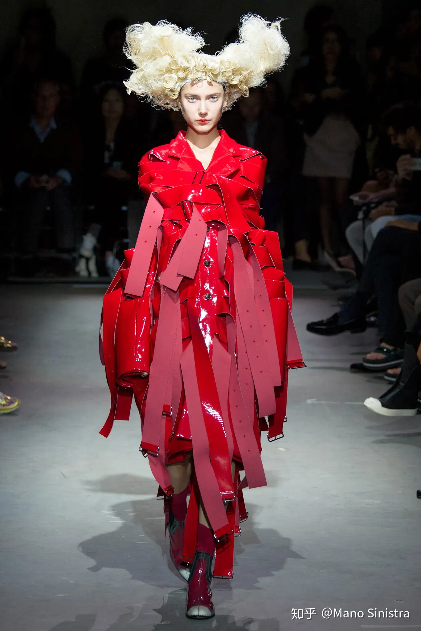 Comme des Garcons 2015 SS Roses and Blood - 知乎