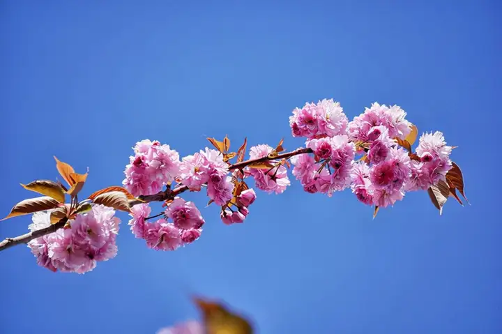 这都可以（早上满满的正能量句子）周一早安正能量简单一句话英文 第1张