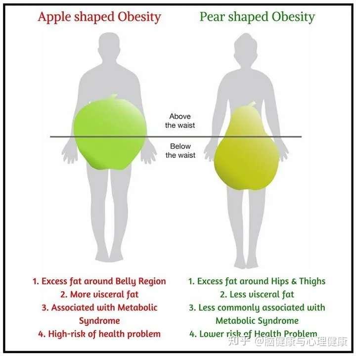 苹果型肥胖和鸭梨型肥胖 哪种脑萎缩风险更高 含自测公式 知乎