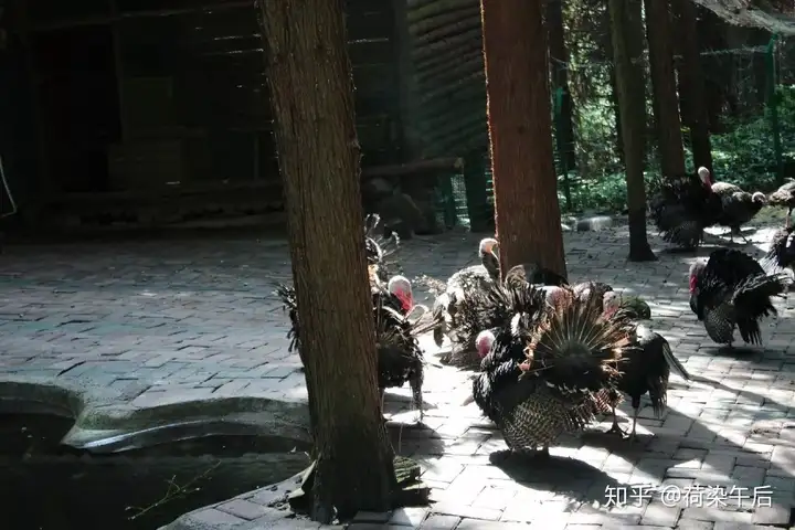 神瀑沟回顾|暑假纳凉耍水好去处