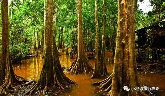 史上最好的沙巴小众旅行攻略，没有之一。