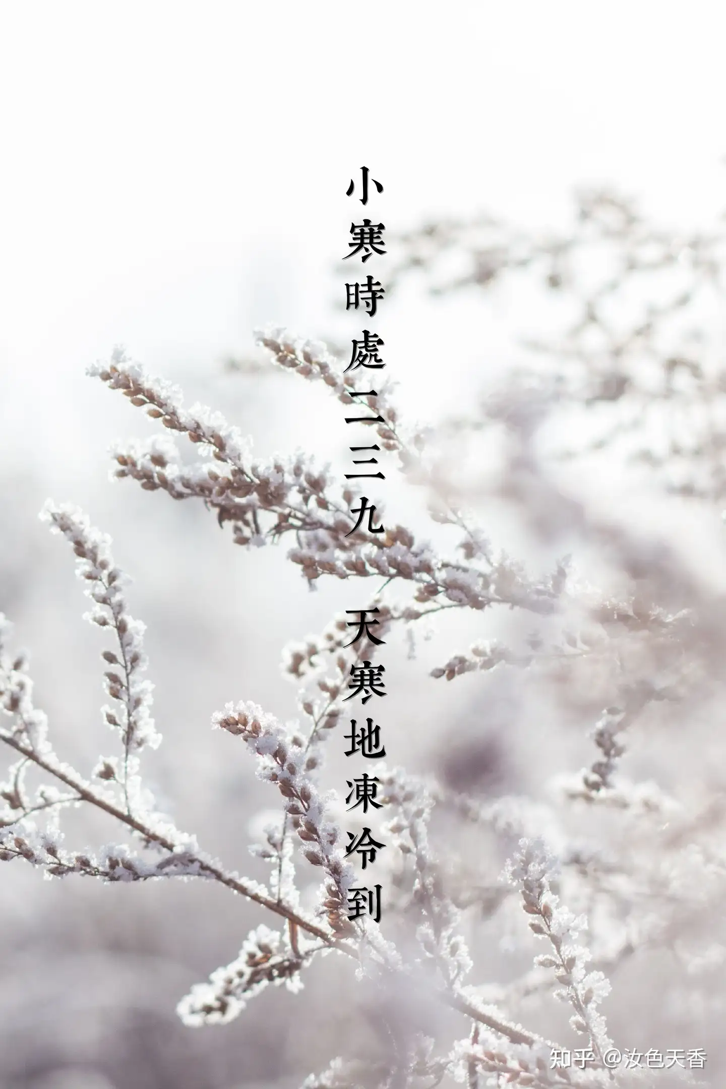 小寒：晨起开门雪满山，雪晴云淡日光寒- 知乎