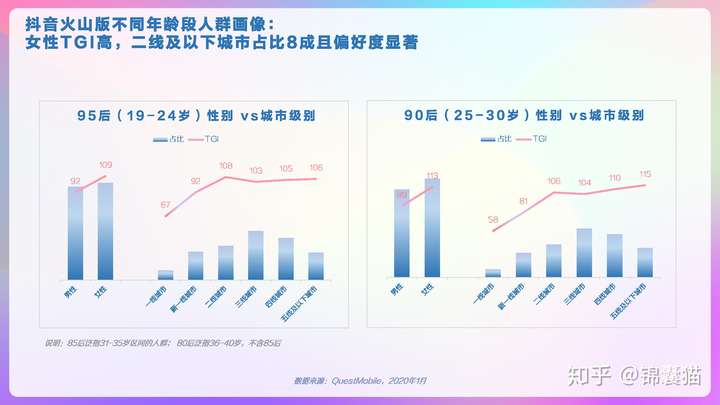 2020抖音用户画像分析